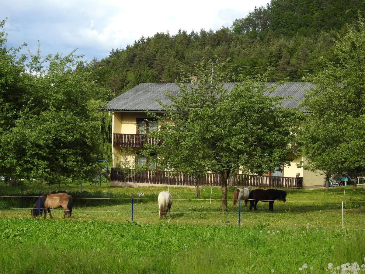 Apartment Am Ponyhof Sankt Kanzian am Klopeiner See Buitenkant foto